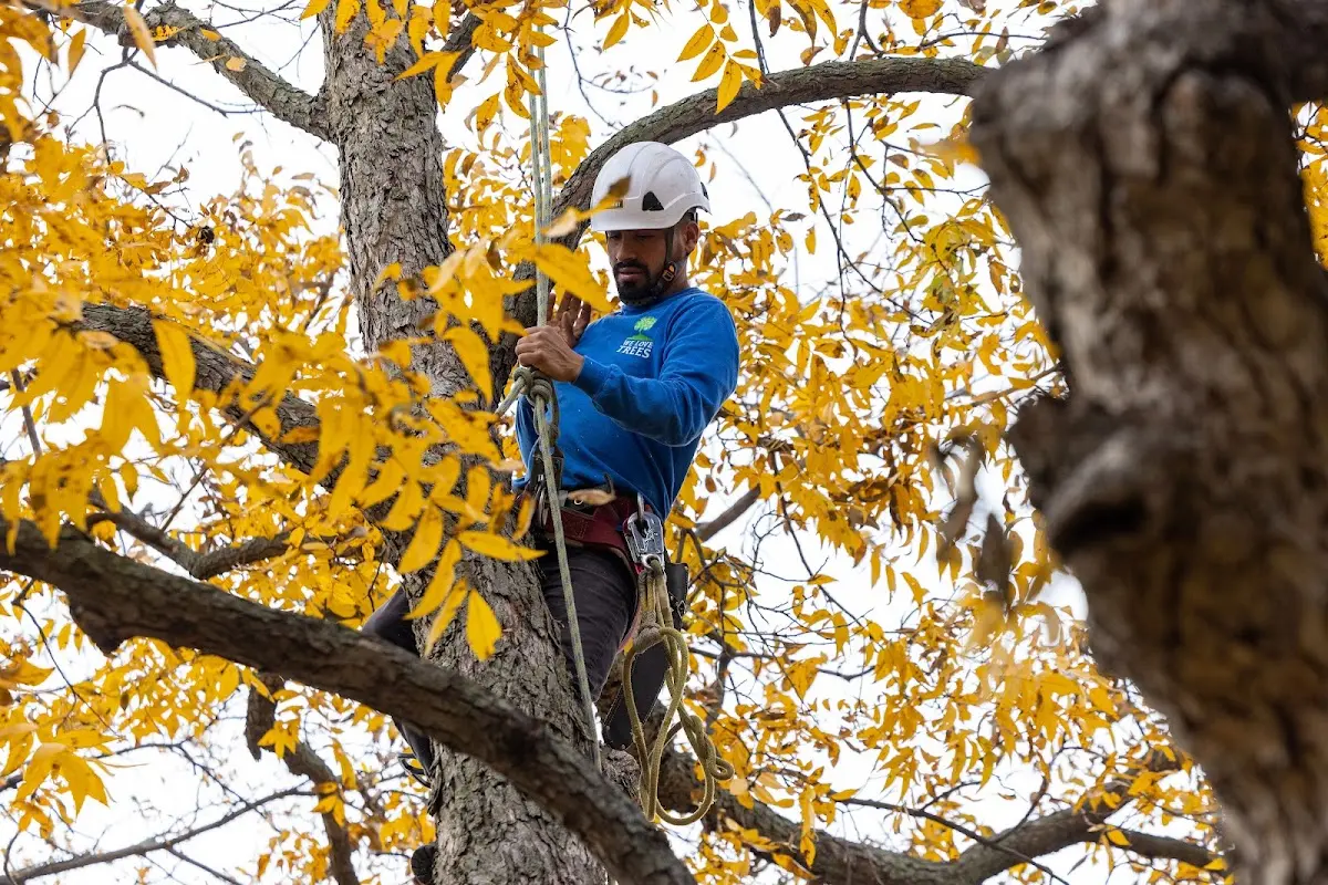Skilled Storm Damage Cleanup crew working in White Mills