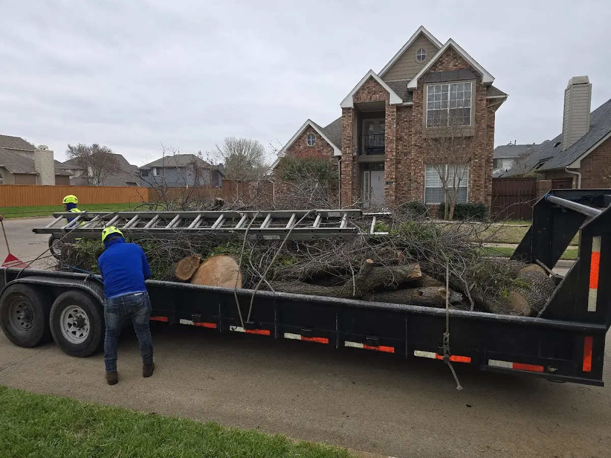 Expert Tree Pest Control with proper safety equipment in White Mills